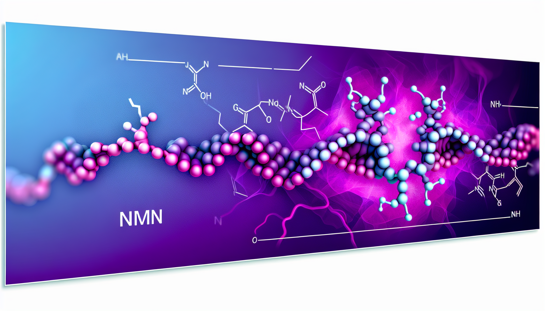 NMN, NAD+, and NR supplements comparison - NAD+ boosters for cellular energy and longevity